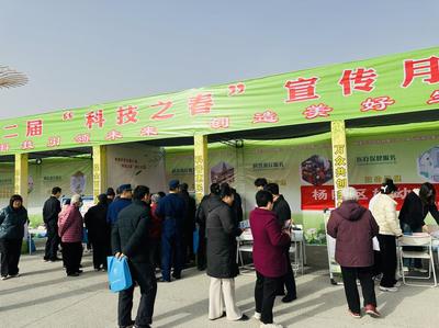 聚焦楊凌&ldquo;雙交會&rdquo; | &ldquo;科技之春&rdquo; 農(nóng)味足 專家坐&ldquo;診&rdquo;開&ldquo;方&rdquo;忙